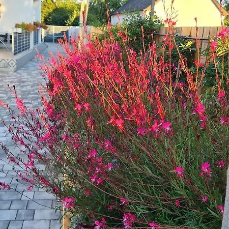 Apartmán U8 Apartmanhaz Vonyarcvashegy