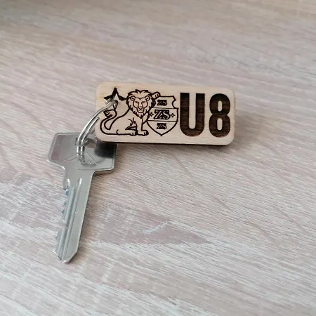 U8 *