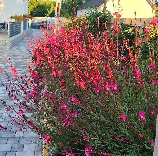 Appartement U8 Apartmanhaz Vonyarcvashegy